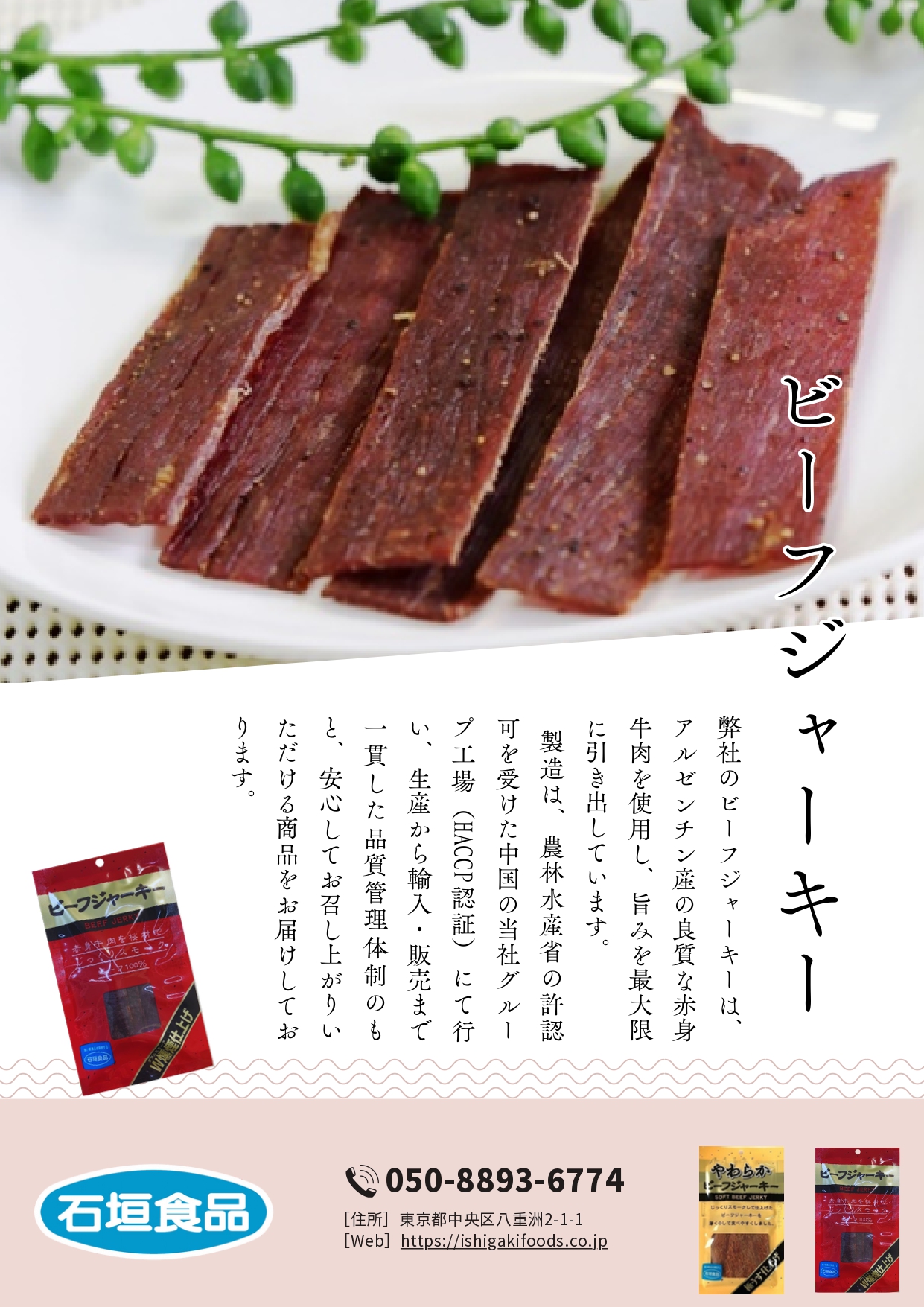 ウェルディッシュビーフジャーキー製品 PDFチラシ