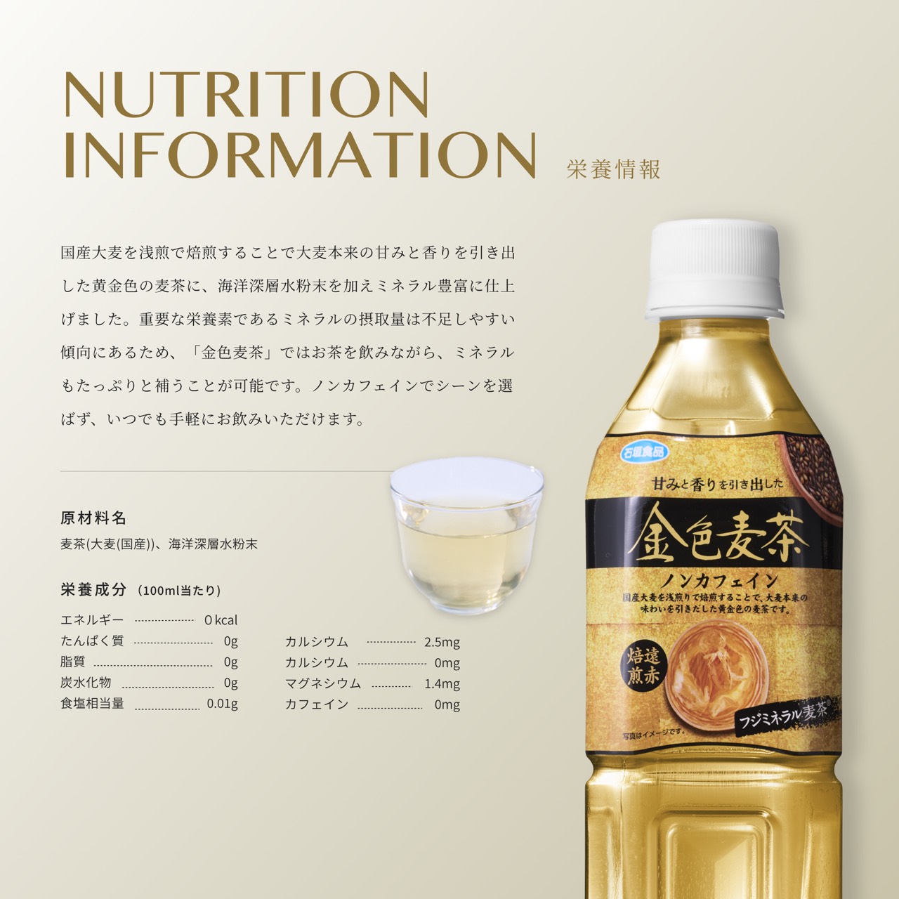 「金色麦茶PET 500ml